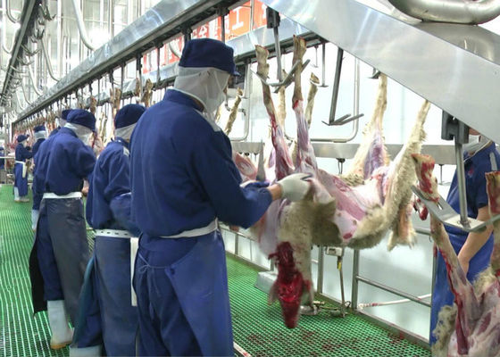 الصين ماعز لحم الضأن سبليت خط إنتاج اللحوم ذبح نقل نوع المعالجة الكاملة المزود