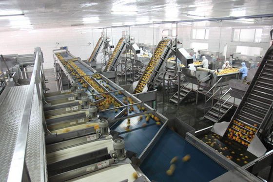 الصين يمكن أن يكون خط إنتاج علب الصفيح الغذائي نصف أوتوماتيكي بالكامل 100-300 علبة في الساعة عالية السرعة المزود
