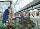 ماعز لحم الضأن سبليت خط إنتاج اللحوم ذبح نقل نوع المعالجة الكاملة المزود