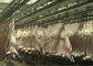 ماعز لحم الضأن سبليت خط إنتاج اللحوم ذبح نقل نوع المعالجة الكاملة المزود