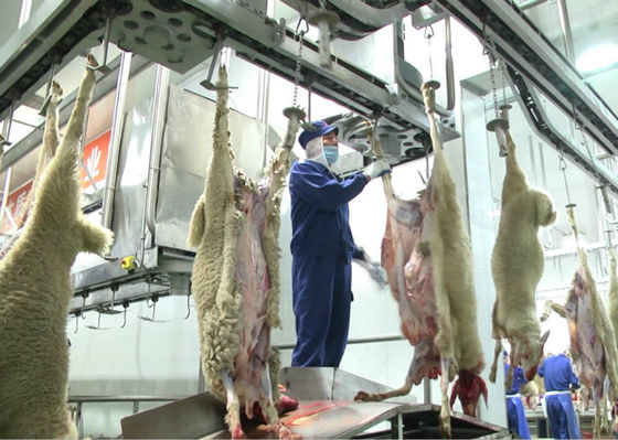 الصين خط إنتاج لحم الخروف المقطّع ، خط إنتاج صناعي إضافي المزود