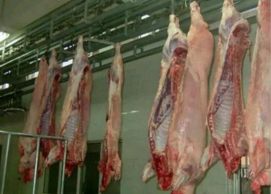 الصين لحم الخنزير سبليت خط إنتاج لحوم الدواجن مسلخ معدات نظام التحكم PLC المزود
