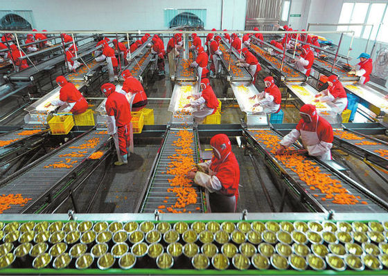 الصين البلاستيك خط إنتاج الأغذية المعلبة ، معدات معالجة الفواكه والخضروات المزود