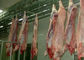 لحم الخنزير سبليت خط إنتاج لحوم الدواجن مسلخ معدات نظام التحكم PLC المزود